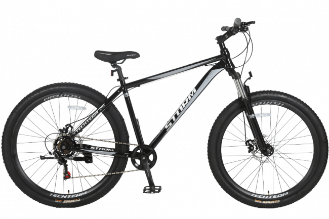 Горный велосипед «TT STORM 29X19» 2021