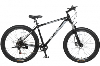 Горный велосипед «TT STORM 29X19» 2021
