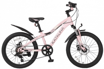 Велосипед «TT KATALINA 20» 2020