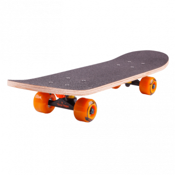 Деревянный скейтборд «TECH TEAM PROFI»