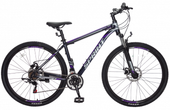 Горный велосипед «TT SPRINT 29» 2020